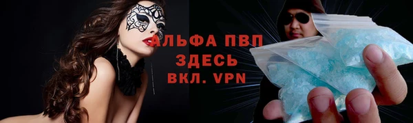 хмурый Карпинск