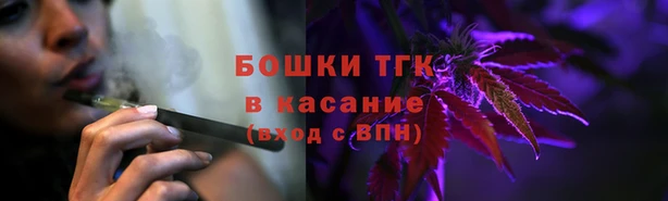 хмурый Карпинск