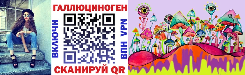 Купить где  Батайск  Галлюциногенные грибы Psilocybe 